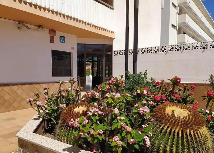 Lapo Yumbo Center *